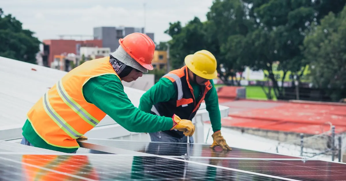 solar profit maintenance of solar panel